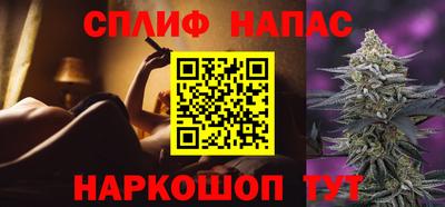сатива Новодвинск