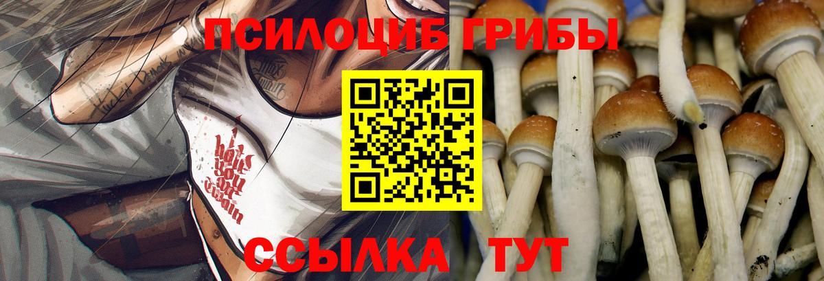 Галлюциногенные грибы Psilocybe Спасск-Дальний