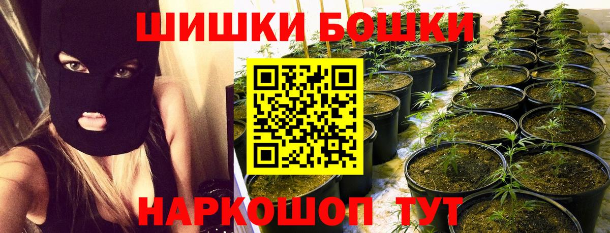 Каннабис ГИДРОПОН  Шишки марихуана Ganja  Спасск-Дальний  Вход с VPN  Бошки марихуана план 